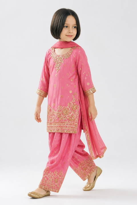 Pink Embroidered Punjabi Salwar Suit Set