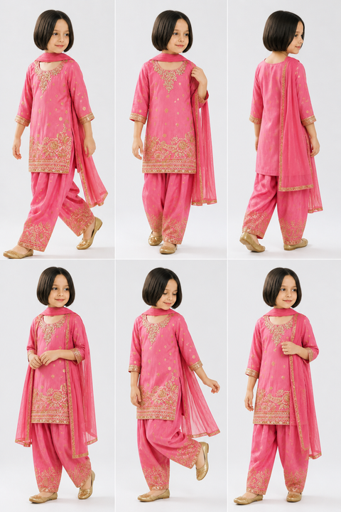 Pink Embroidered Punjabi Salwar Suit Set