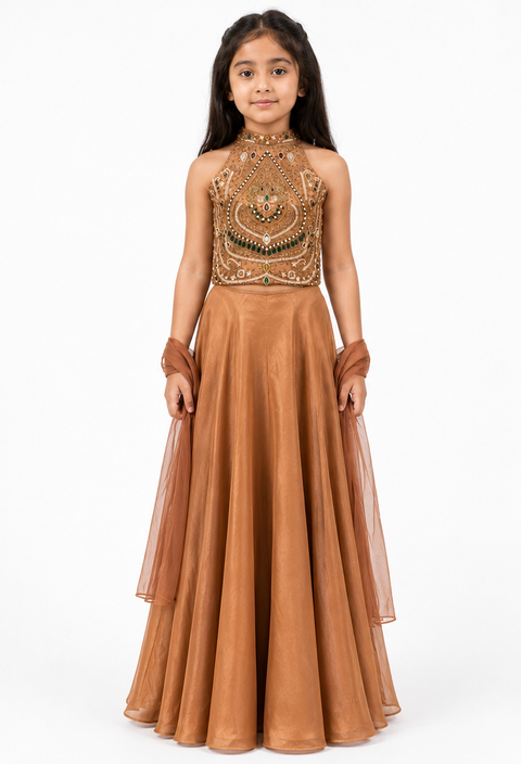 Rust or Brown Embroidered Lehenga Choli Set