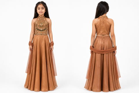 Rust or Brown Embroidered Lehenga Choli Set