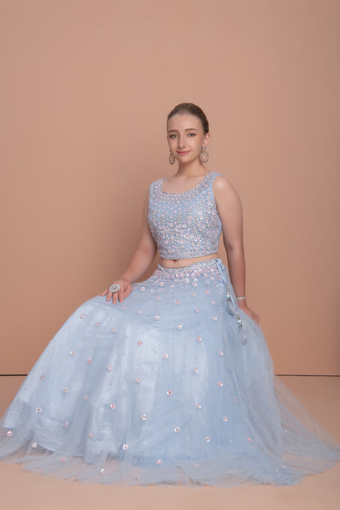 Sky Blue Choli
