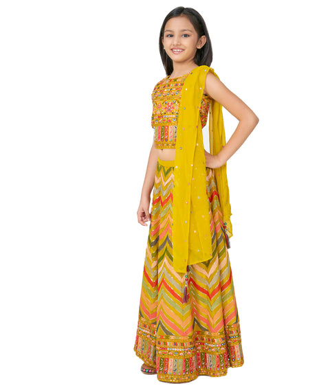 Yellow Choli