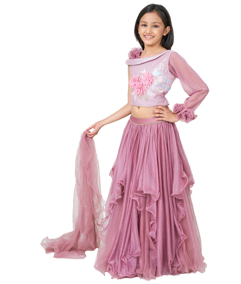 Brown Choli