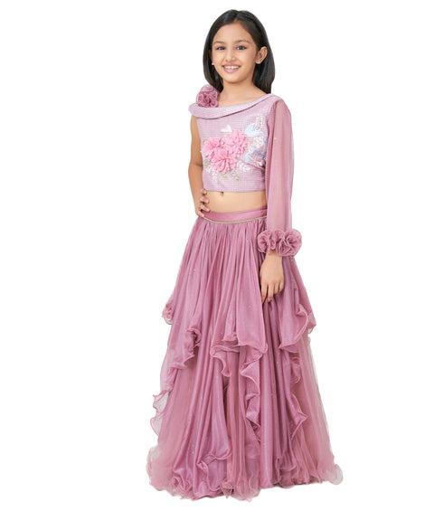 Brown Choli