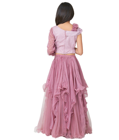 Brown Choli