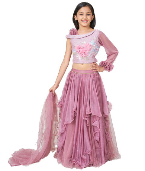 Brown Choli