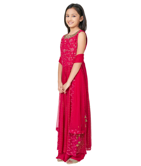 Rani Garara Suit