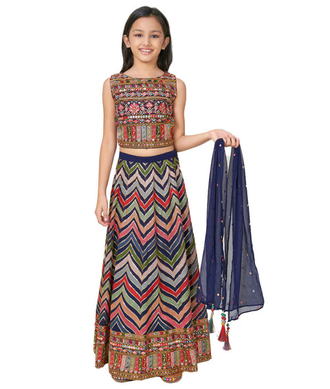 Blue Choli