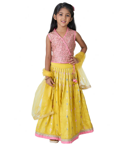 Pink Choli