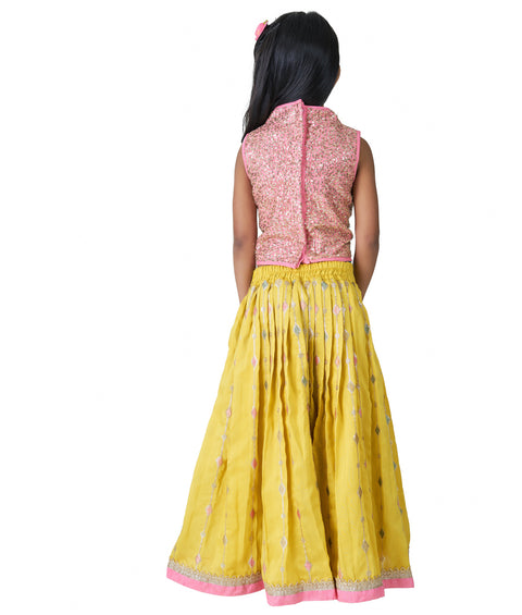Pink Choli
